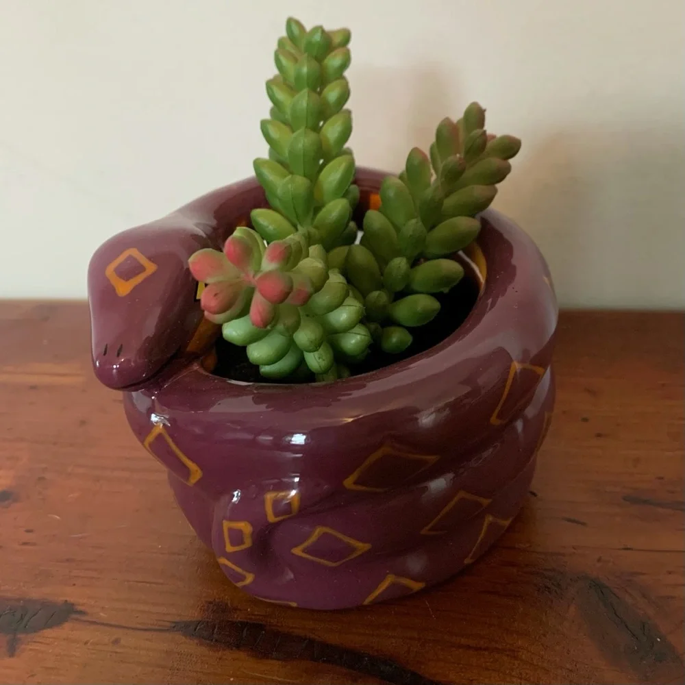 NIB Target Halloween Snake Succulent Planter